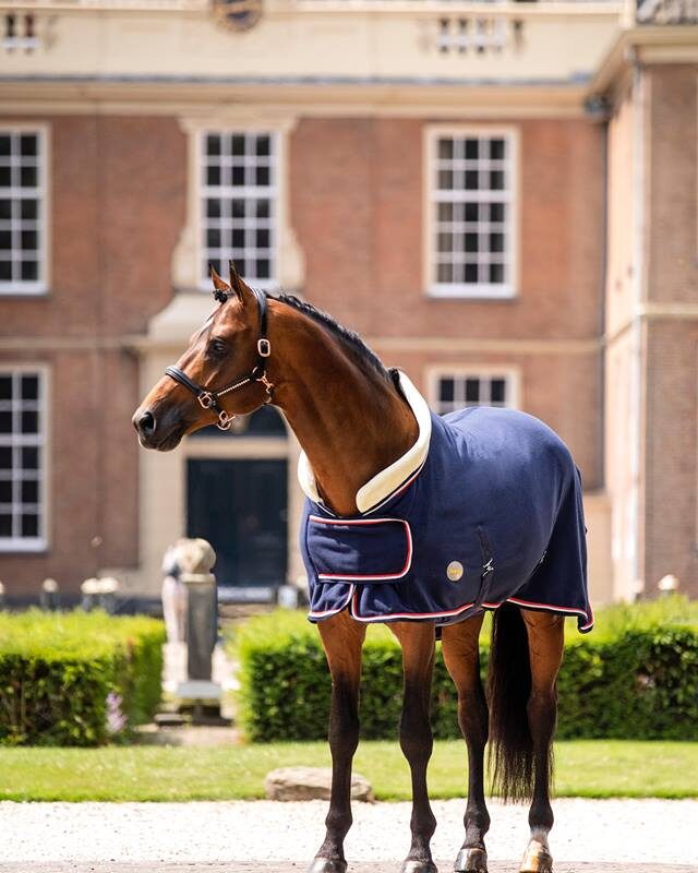 HB Fleecedeken Polar 400 Dutch crown