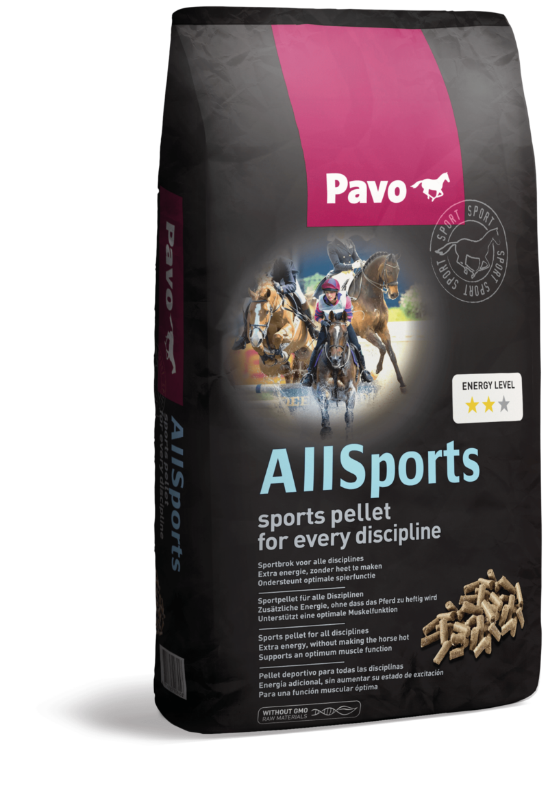 Allsports