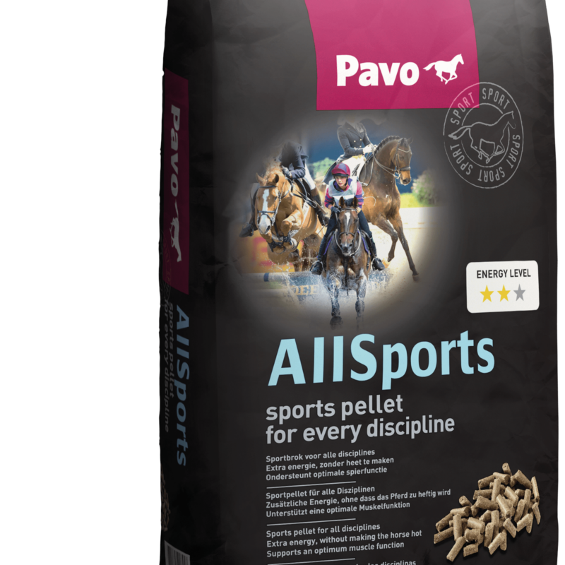 Allsports