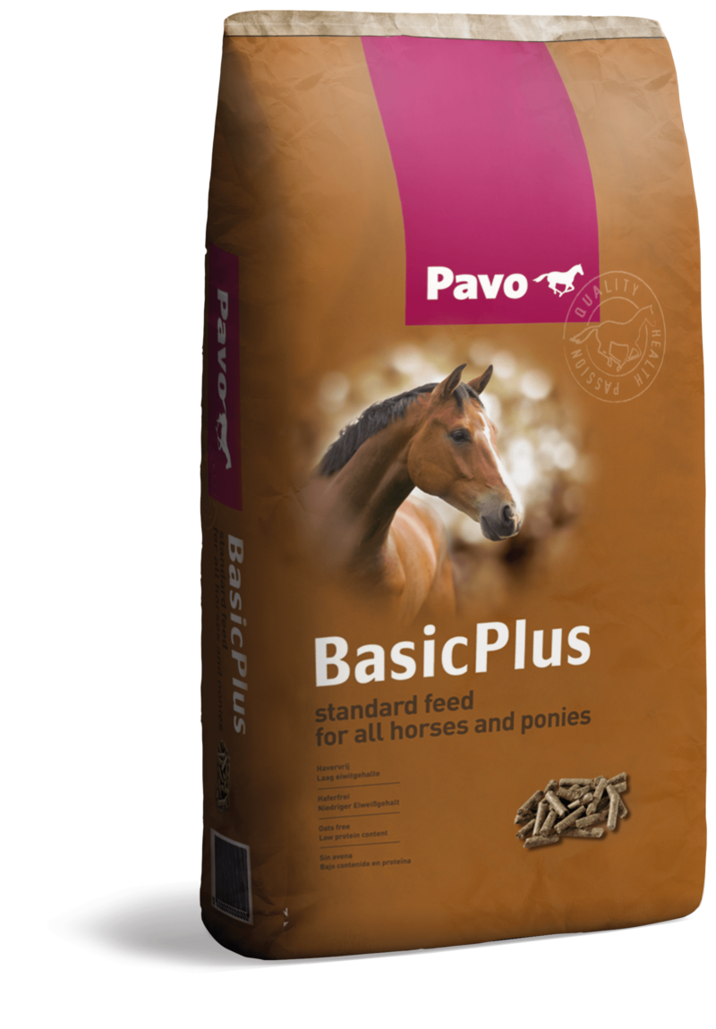Pavo BasicPlus