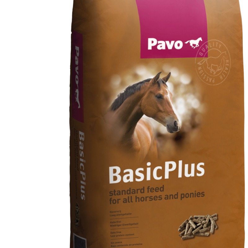 Pavo BasicPlus