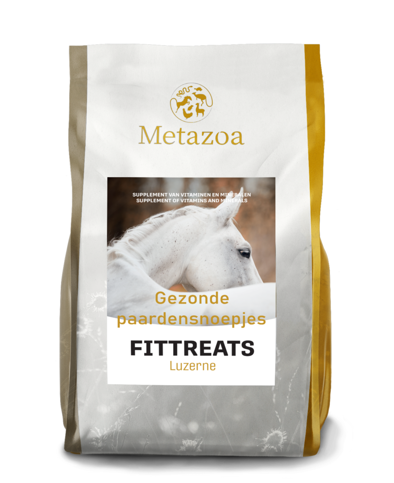 Fittreats Lucerne