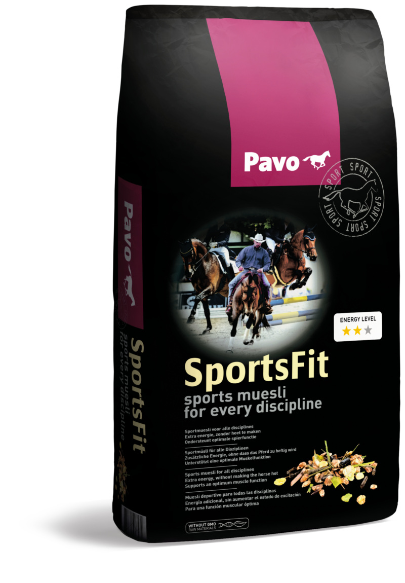 SportsFit