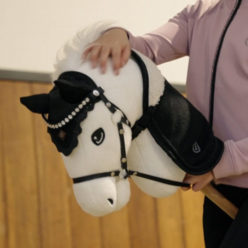IR Hobby Horse Free Spirit