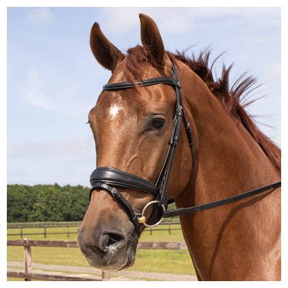 HH Hoofdstel Elegance